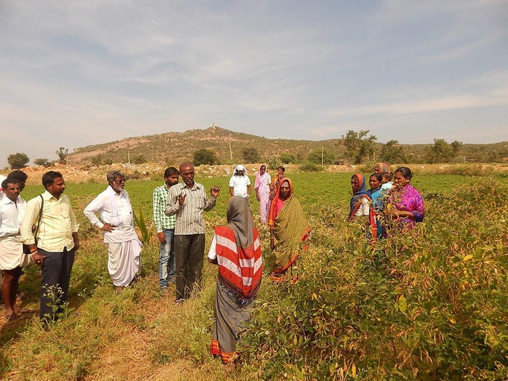 agriculture news 004