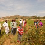 agriculture news 004