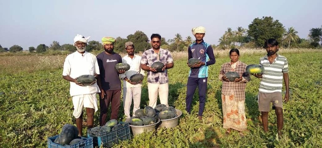agriculture news 01