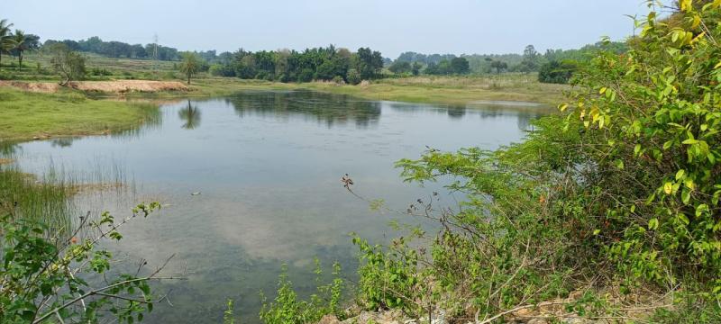 Four Children Drown in Farm Pond breaking news 03