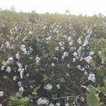 latest news 04