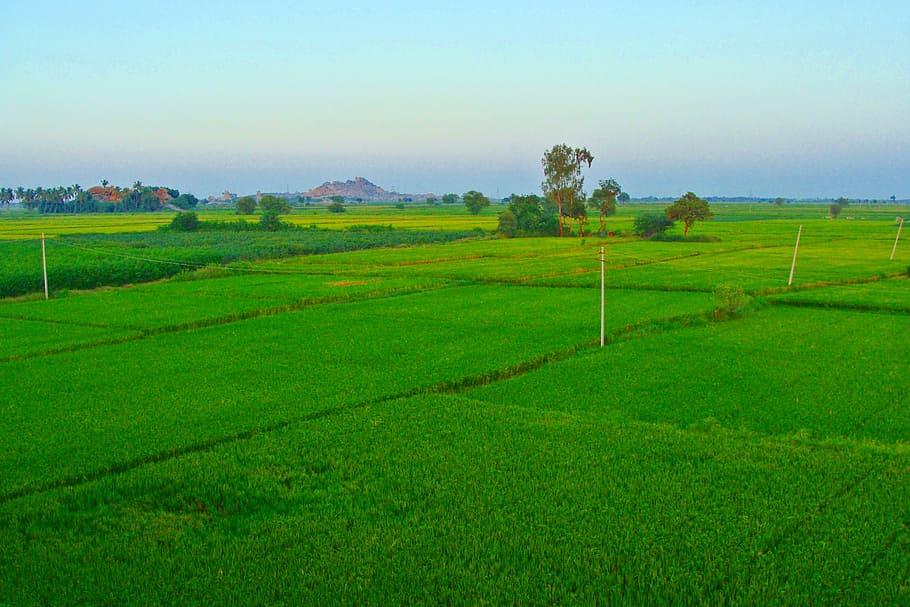 Yadgir Countryside
